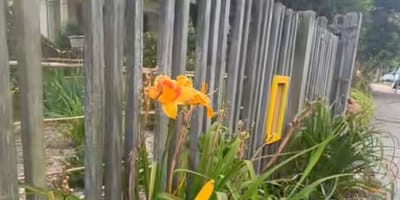 Installations jardin