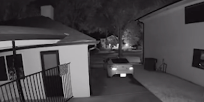 Eindringling im Garten