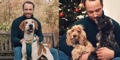 James Middleton with his dogs
