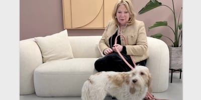 Janny van der Heijden heeft nieuwe hond