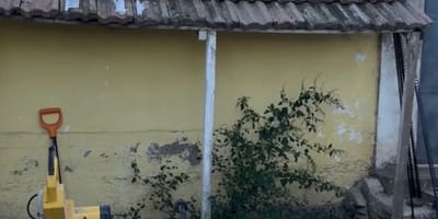 A house garden
