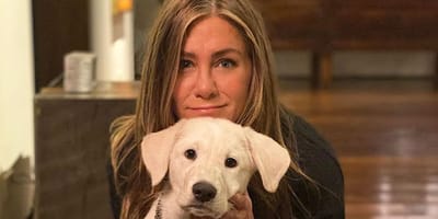 Jennifer Aniston met haar hond