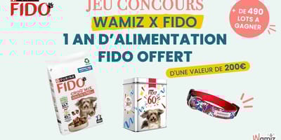 Jeu concours FIDO