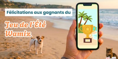 Jeu de l'été wamiz