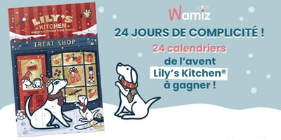 Jeu de Noël Lily's Kitchen