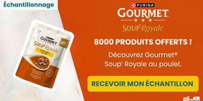 jeu Gourmet