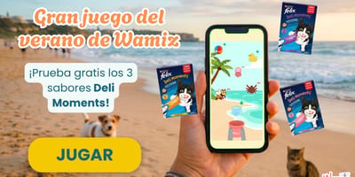 Juego del verano de Wamiz