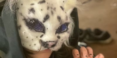 Jugendliche mit Therian-Maske