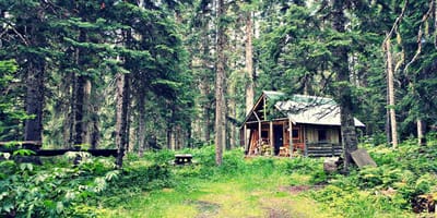 Kätzchen Rhön-Hütte
