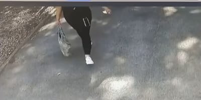Kamera nimmt Frau mit Tasche auf