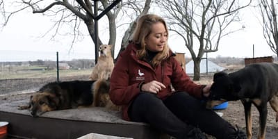 Karen gaat Oekraïnse steden af om dieren te redden