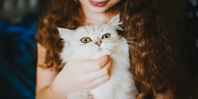 kattennamen uit kinderboeken