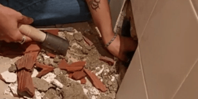 Chat disparu pendant la rénovation