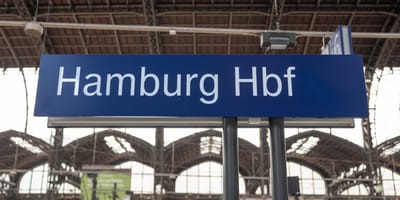 Katze fährt im Zug nach Hamburg