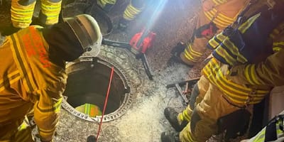 Katzenrettung in Wiepenkathen