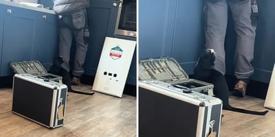 Katzer sitzt neben dem Handwerker in der Küche