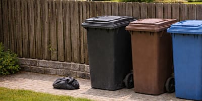 Kleines Bündel liegt neben Mülltonnen