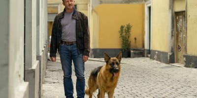 Kommissar Rex: Schäferhund Capo