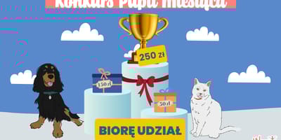 Konkurs fotograficzny Wamiz