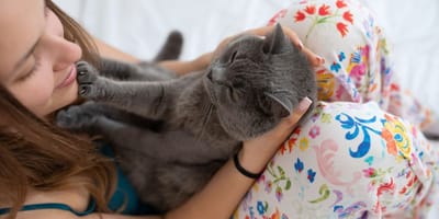 Kot dotyka łapką twarzy