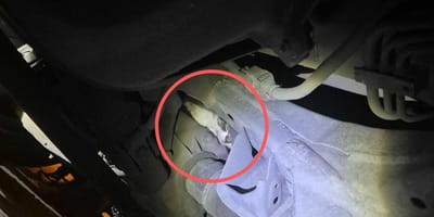 Katze im Automotor