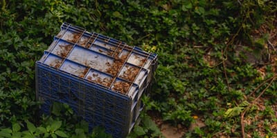 Scatola di plastica nel bosco