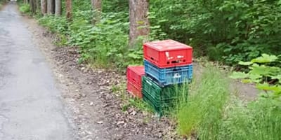 Kunststoffkisten stehen neben der Tierheim-Zufahrt