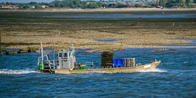 La baie d'Arcachon
