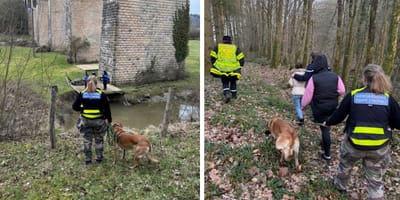 La gendarmerie en intervention avec leur chien