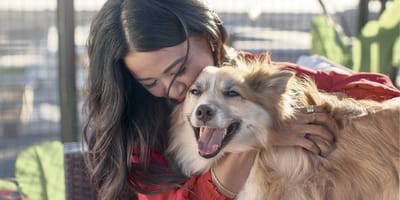 La médiation animale au sein d'une école