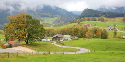 Landstraße zwischen Wiesen in Oberbayern
