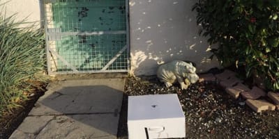 The Playstation box outside the shelter