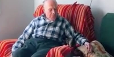 el gatito y el abuelo