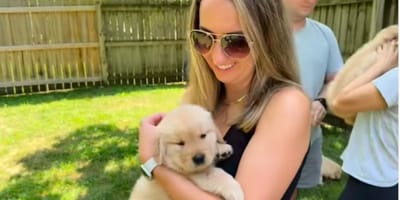 The calmest puppy