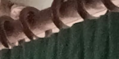 The living room curtain