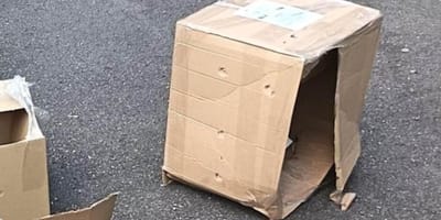 Leerer Karton mit Luftlöchern
