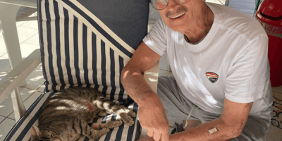 Leo il gatto scomparso