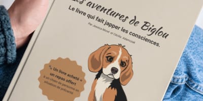 Les Aventures de Biglou