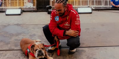 Lewis Hamilton und Hund Roscoe