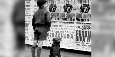 Little boy and dog looking at Crufts sign