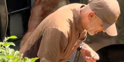 Repartidor de paquetes