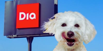 ¿Los perros pueden entrar en supermercados DIA?