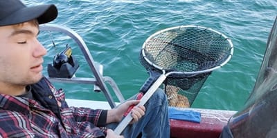 Lince en la red de pesca