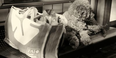 Mag een hond mee in de bus?