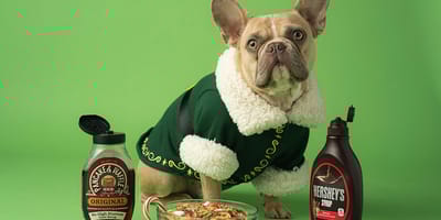 Mag een hond stroop eten?