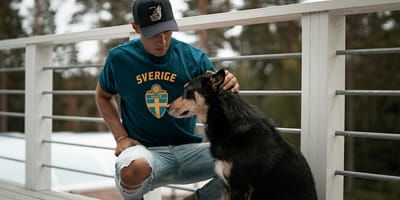 mag mijn hond mee op vakantie naar Zweden?