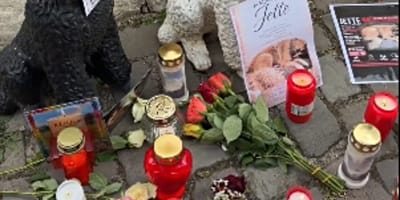 Mahnwache für Hündin Jette