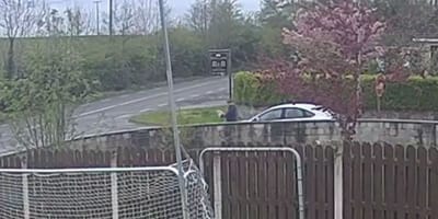 Man setzt Hund am Straßenrand aus