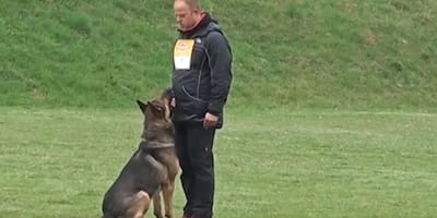 Homme avec berger allemand