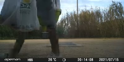 Mężczyzna porzuca koty